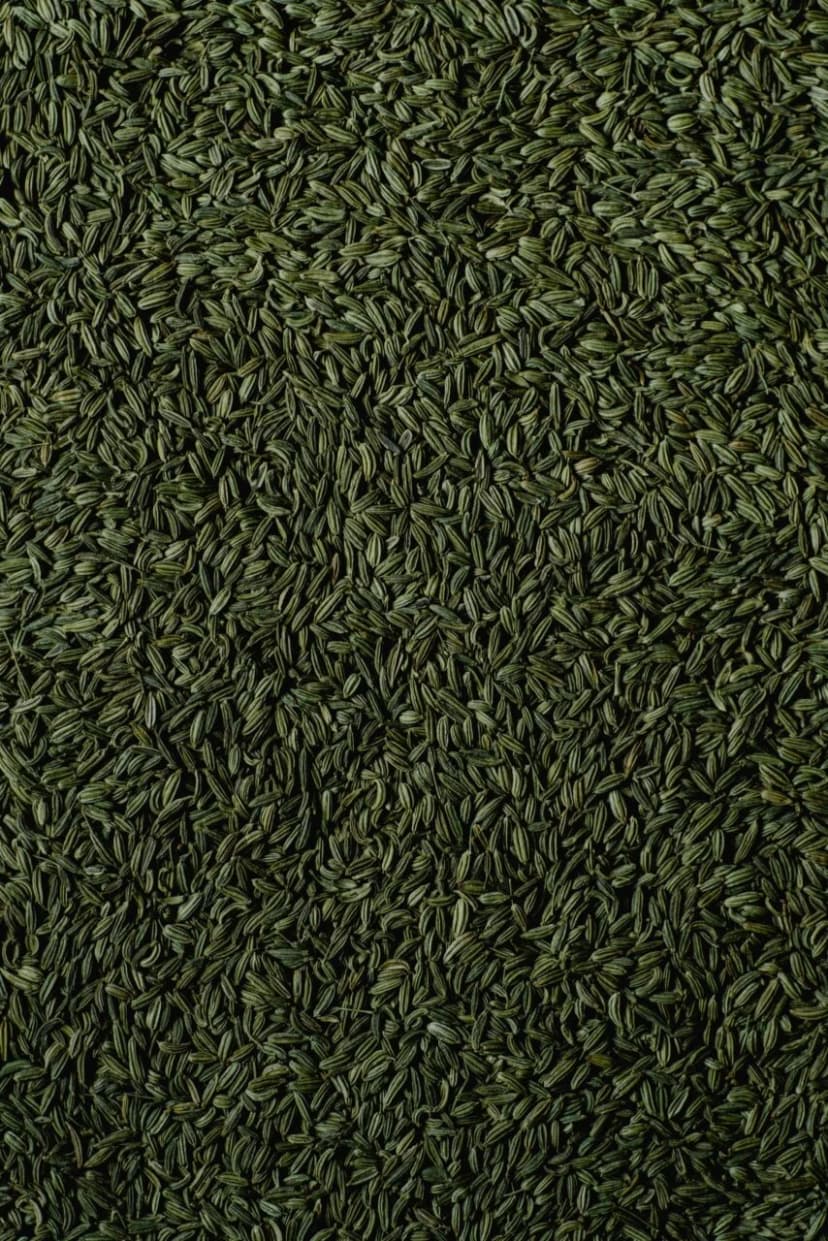 Fennel Seeds